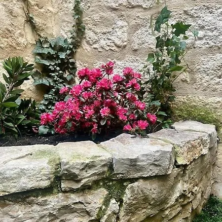 Le Laurier-rose アパート *